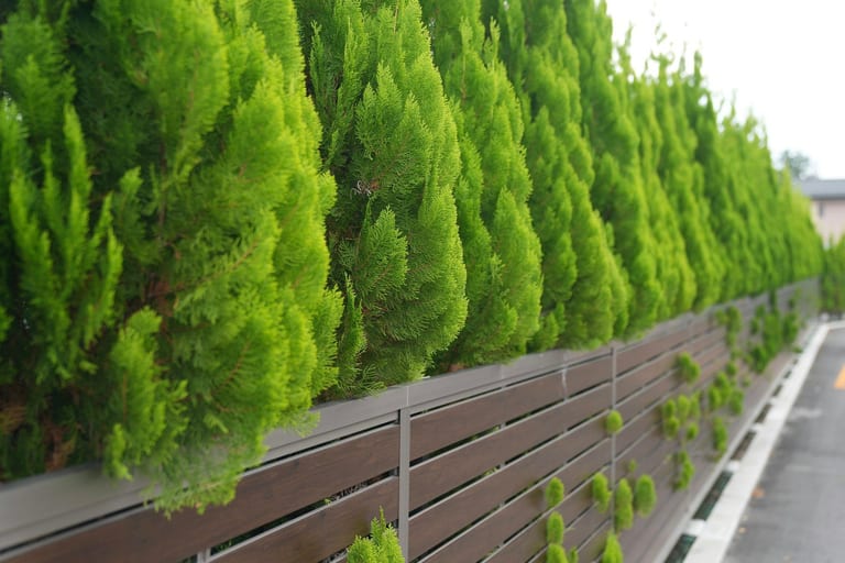 Modern horizontal slat fence